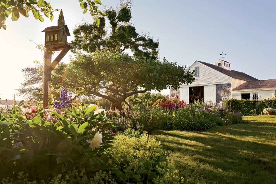 A lush garden with blooming flowers, a large tree, a wooden birdhouse, and a white barn-style building under clear blue sky with sunlight streaming through.