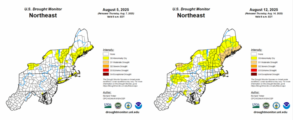 Three U.S. Drought Monitor maps show increasing drought conditions in the Northeast from July 29 to August 12, 2025, with yellow and tan areas expanding over time.