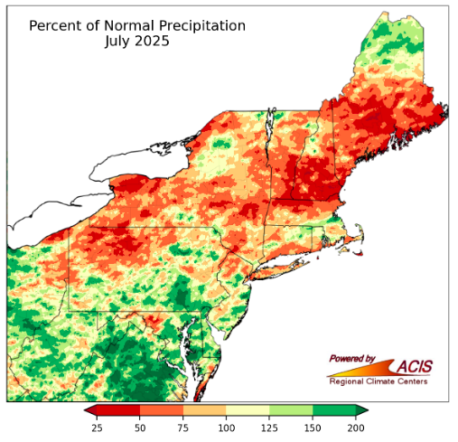 Map of the Northeastern US showing percent of normal precipitation for July 2025, with most areas drier than normal and some southern regions wetter than normal.
