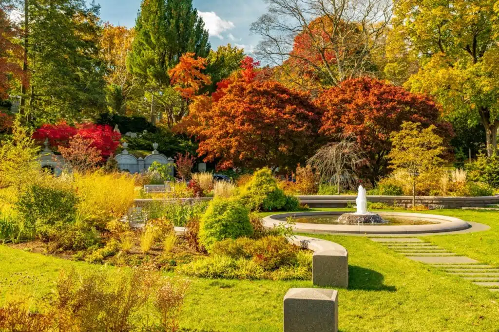 6 Scenic Spots to See New England Fall Foliage. Mount Auburn Cemetery in Cambridge, MA. A small fountain in a landscaped garden with colorful autumn trees and green grass under a blue sky.