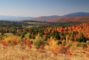 Hills covered in colorful autumn trees under a clear sky, with distant mountains in the background.
