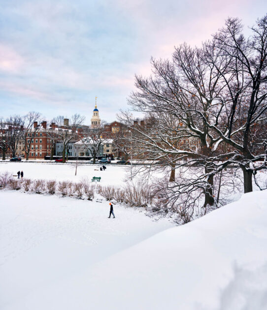 Snowy park with bare trees, people walking, and a domed building in the background under a pastel sky.