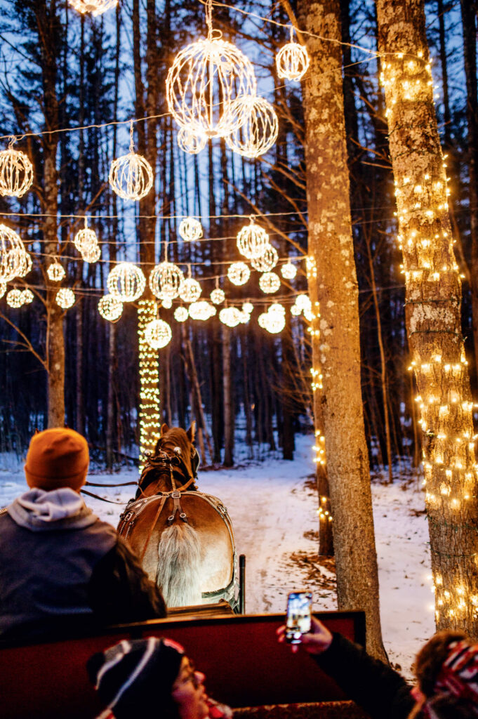 Horse-drawn carriage rides through snowy, lit-up woods with glowing string lights and people taking photos.