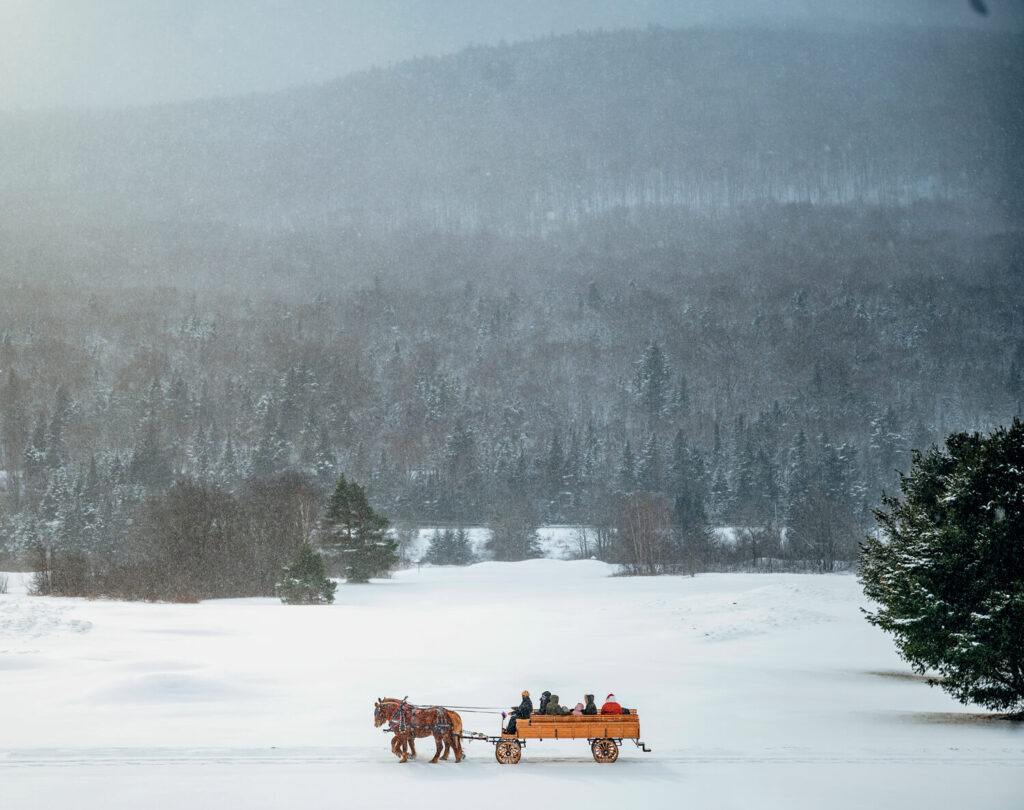 A horse-drawn sleigh carries people through a snowy landscape with trees and mountains in the background.