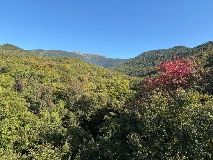2026 New England foliage map. Green hills with a patch of red foliage under a clear blue sky and mountains in the distance.