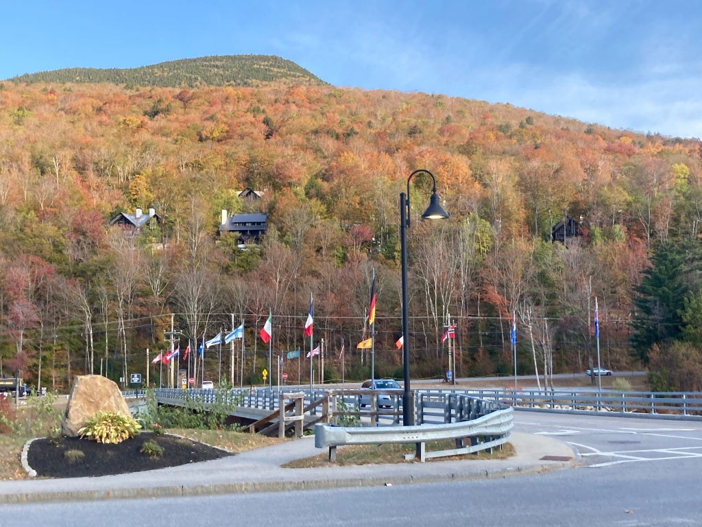 A mountain with autumn foliage, houses scattered on the slope, and international flags along a road in front.