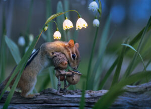 A chipmunk sniffs a small acorn figurine under glowing lily of the valley flowers at dusk.