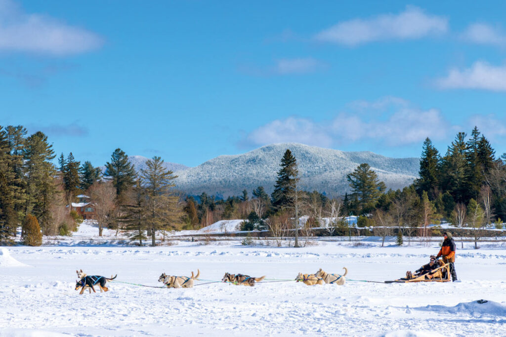 A person rides a dog sled across a snowy field with mountains and pine trees in the background.