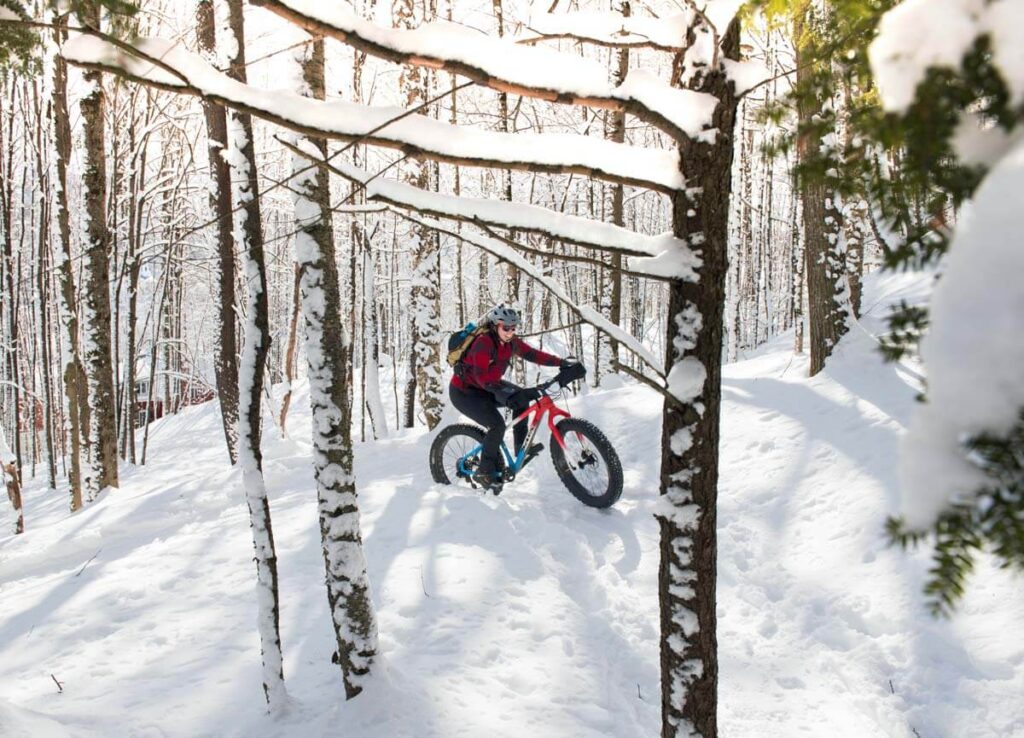 Person rides a fat bike through a snowy forest with sunlight filtering through the trees.