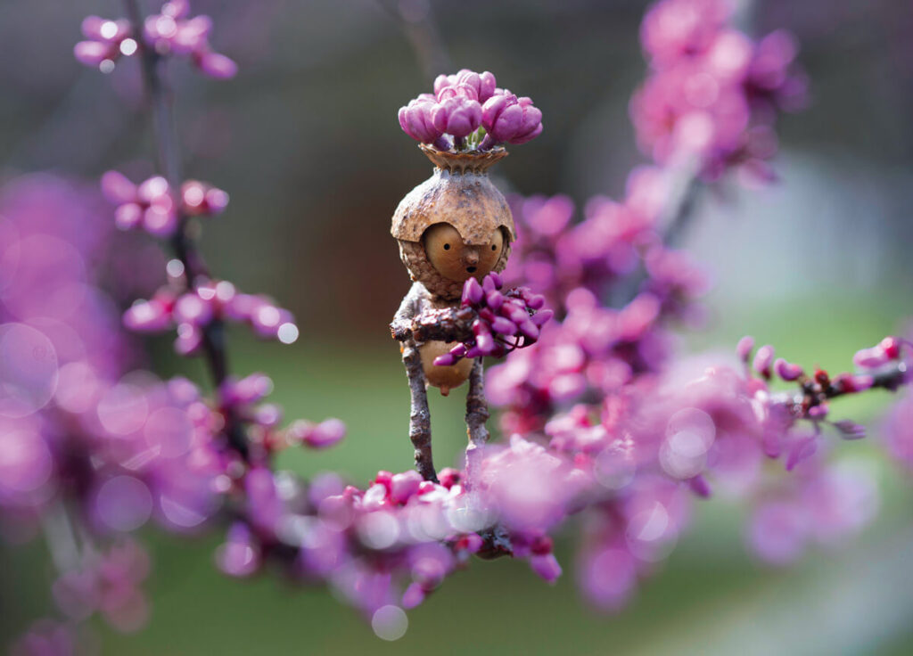 A small, whimsical figure made from natural materials sits among blooming pink flowers on a tree branch.