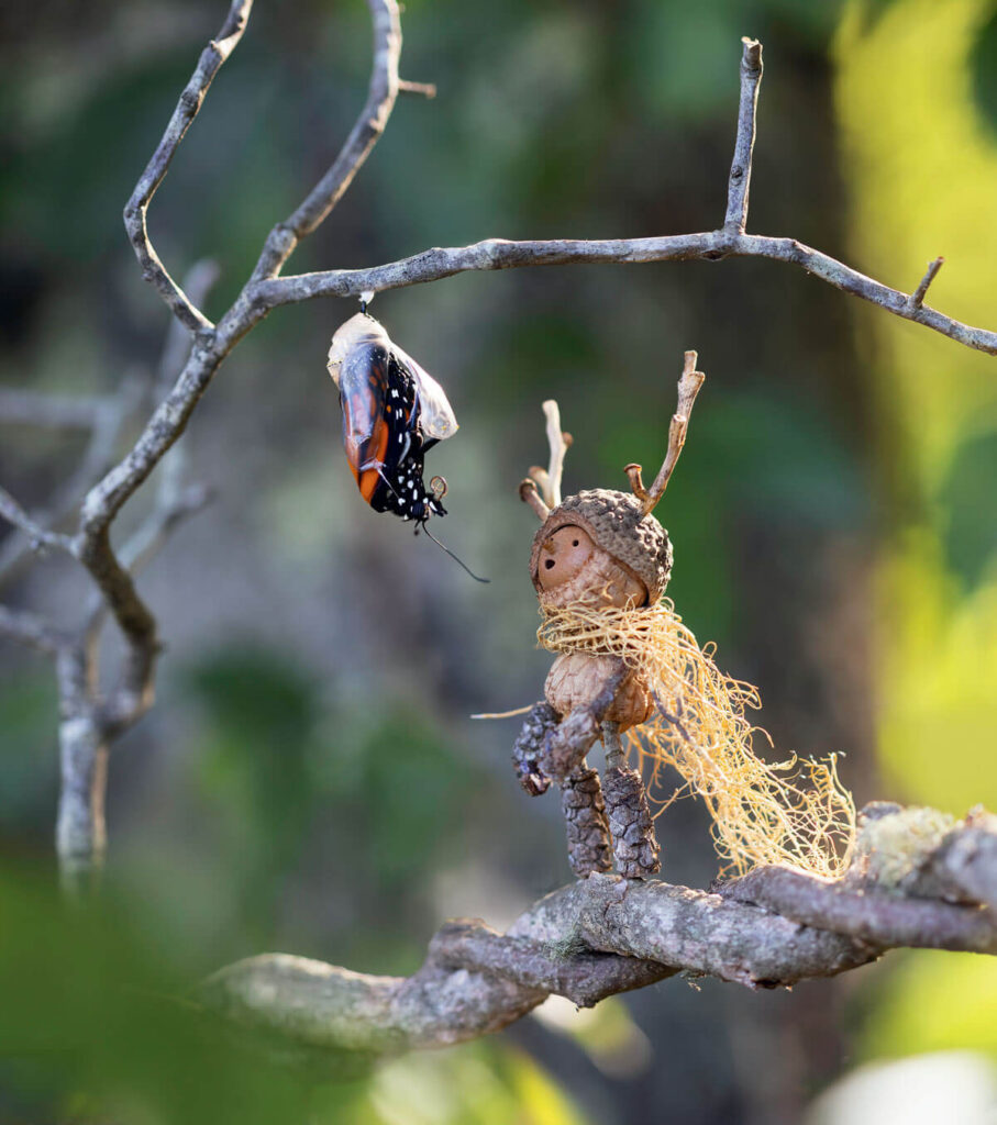 A butterfly emerges near a small figure made of acorns and twigs on a tree branch.