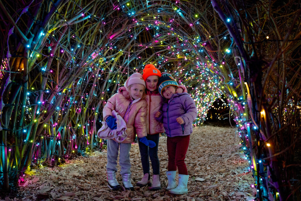 Three children in winter clothes stand under a tunnel of colorful holiday lights and branches at Gardens Aglow at the Coastal Maine Botanical Gardens.