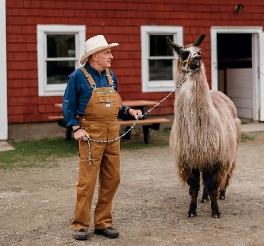 New England Farm Stays. Older man in overalls and cowboy hat holding a llama on a leash outside a red barn.