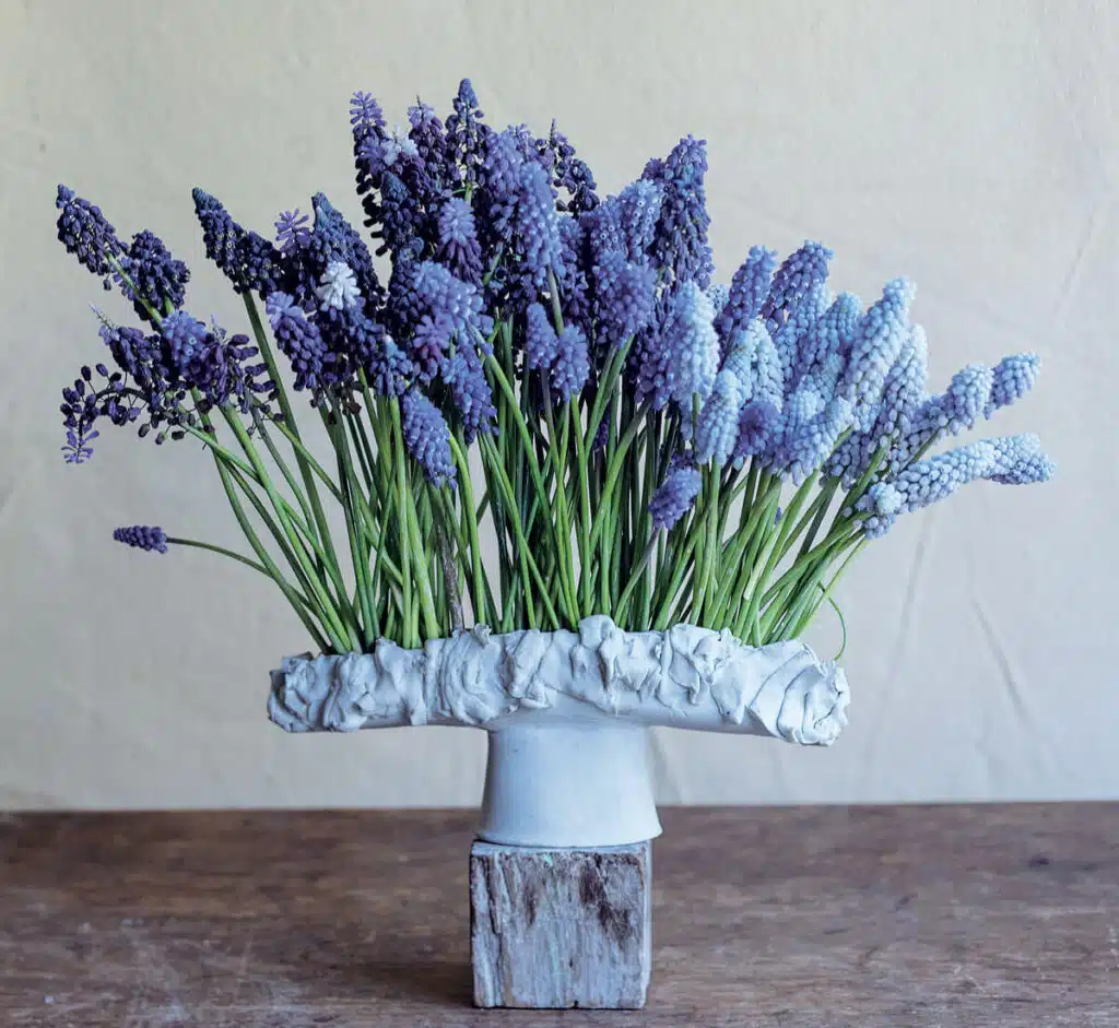 A ceramic vase holds a bouquet of purple and light blue grape hyacinths on a wooden surface.