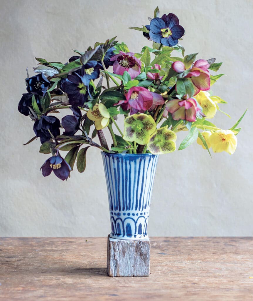 A blue and white vase holds an arrangement of colorful hellebore flowers on a wooden surface.