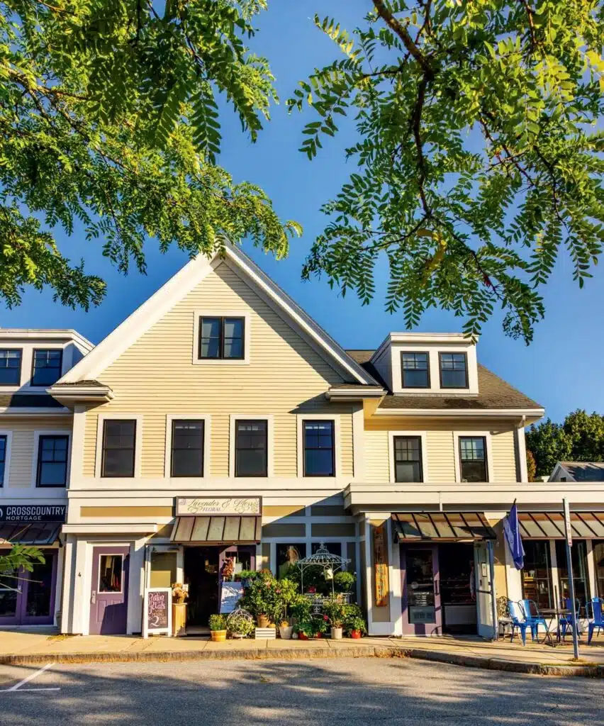 Charming small-town shops with large windows and plants, under leafy tree branches on a sunny day.