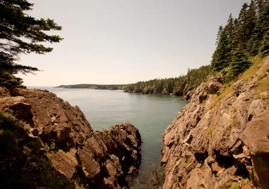 Rocky cliffs and evergreen trees border a calm, blue bay under a clear sky.