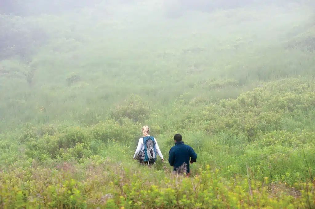 Two people hike through a lush, green field on a foggy day, seen from behind.