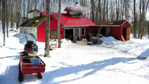 A red sugar shack with smoke rising, surrounded by snow and bare trees, with firewood and a red sled outside.