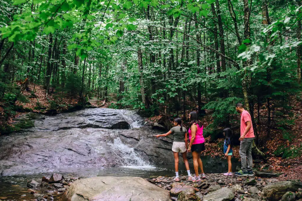Four people stand by a rocky stream in a lush green forest, looking at the flowing water and trees.