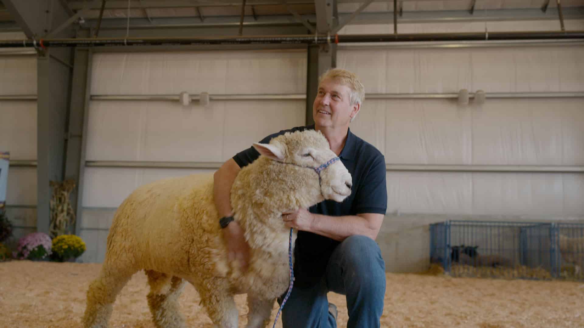 “Weekends with Yankee” Episode 1008: Meet Me at the Fair