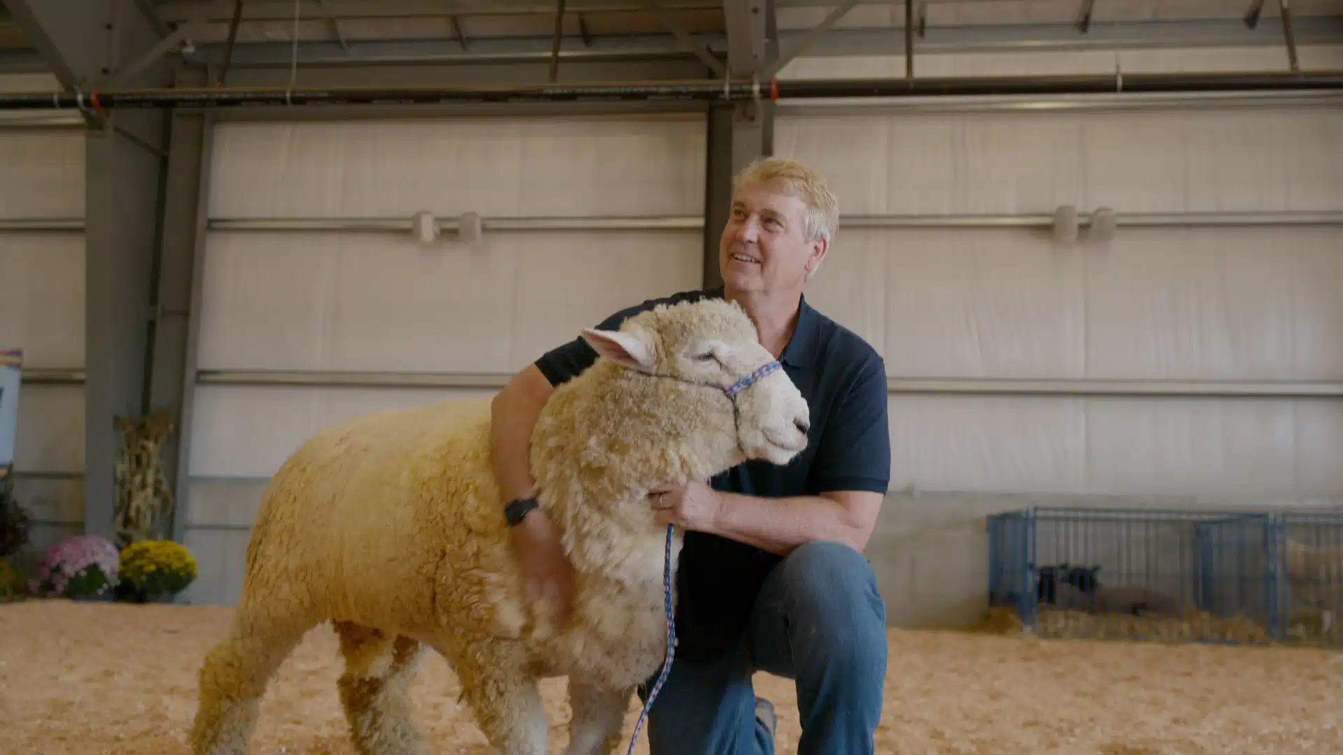 “Weekends with Yankee” Episode 1008: Meet Me at the Fair