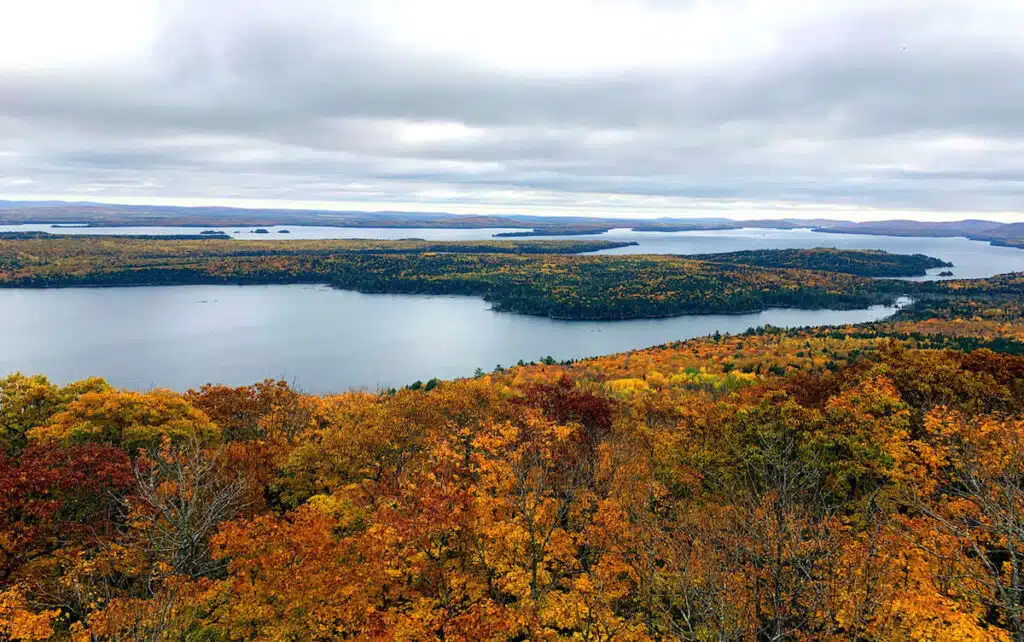 Aerial view of a lake surrounded by trees with vibrant autumn foliage under a cloudy sky.