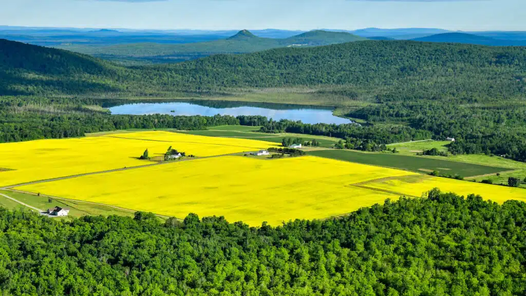 Aerial view of yellow fields, green forests, a lake, and distant hills under a blue sky.