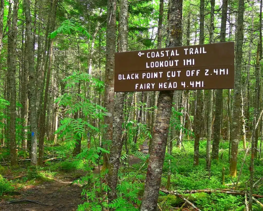 Brown wooden trail sign in a lush green forest, listing hiking destinations and distances.