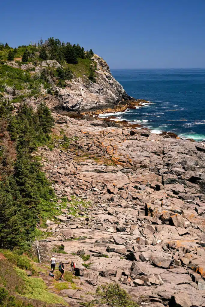 Hikers walk along rocky coastline with pine trees and cliffs beside the blue ocean under a clear sky.