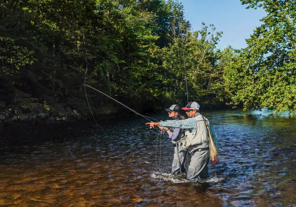 Two people fly fishing in a shallow, sunlit river surrounded by green trees, one pointing ahead.