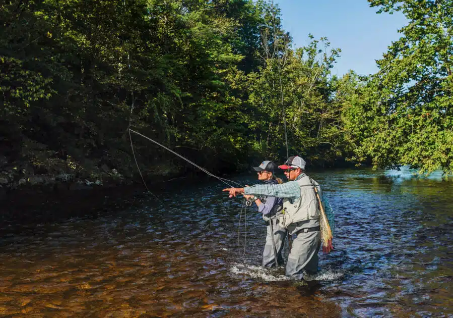 Two people fly fishing in a shallow, sunlit river surrounded by green trees, one pointing ahead.