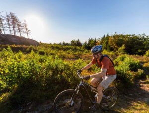 A person wearing a helmet rides a mountain bike on a sunny trail surrounded by greenery and trees.