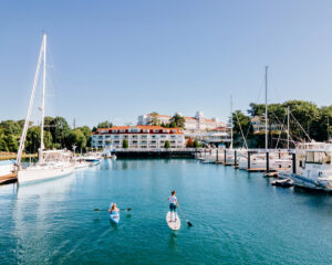 Two people paddleboarding in a marina with boats and a waterfront hotel under a clear blue sky.
