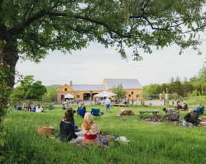 People relaxing on a grassy lawn under a tree near a yellow farmhouse on a bright, sunny day.
