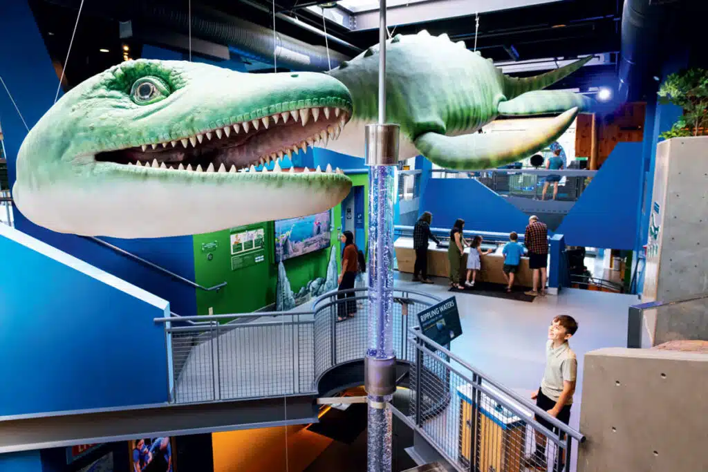 2026 Vermont Travel Guide | Hotels, Dining & Attractions. Large sea reptile model hangs in a museum above visitors exploring exhibits on multiple levels.