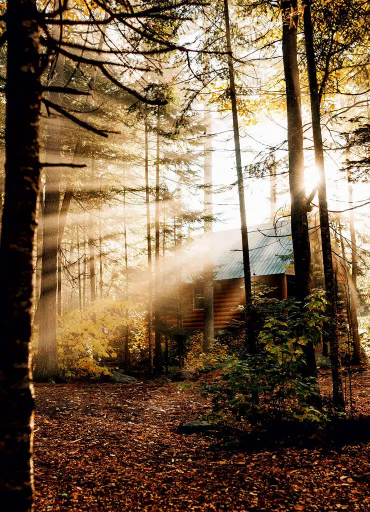 True North: Wild Landscapes From Cait Bourgault. Sunlight streams through trees onto a cozy cabin in a forest with autumn leaves on the ground.