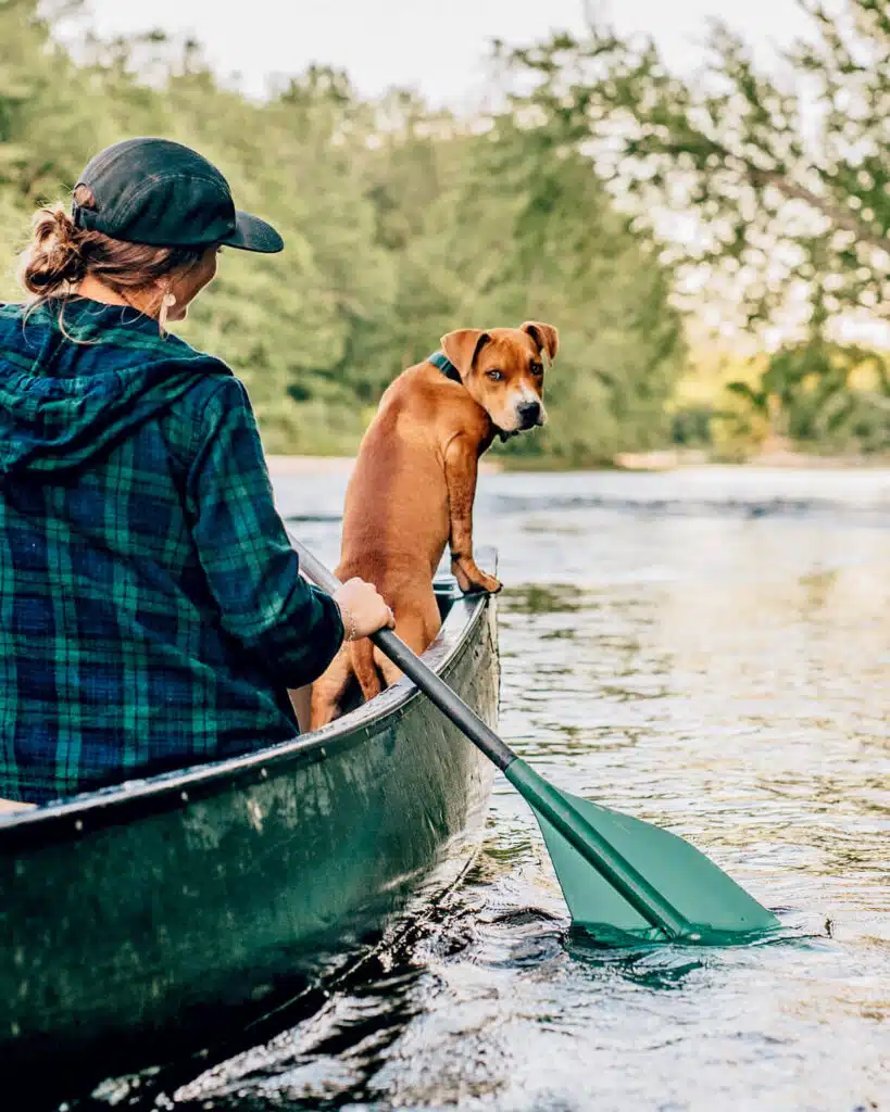 Person paddling a canoe with a brown dog standing on the edge, looking back over the water.
