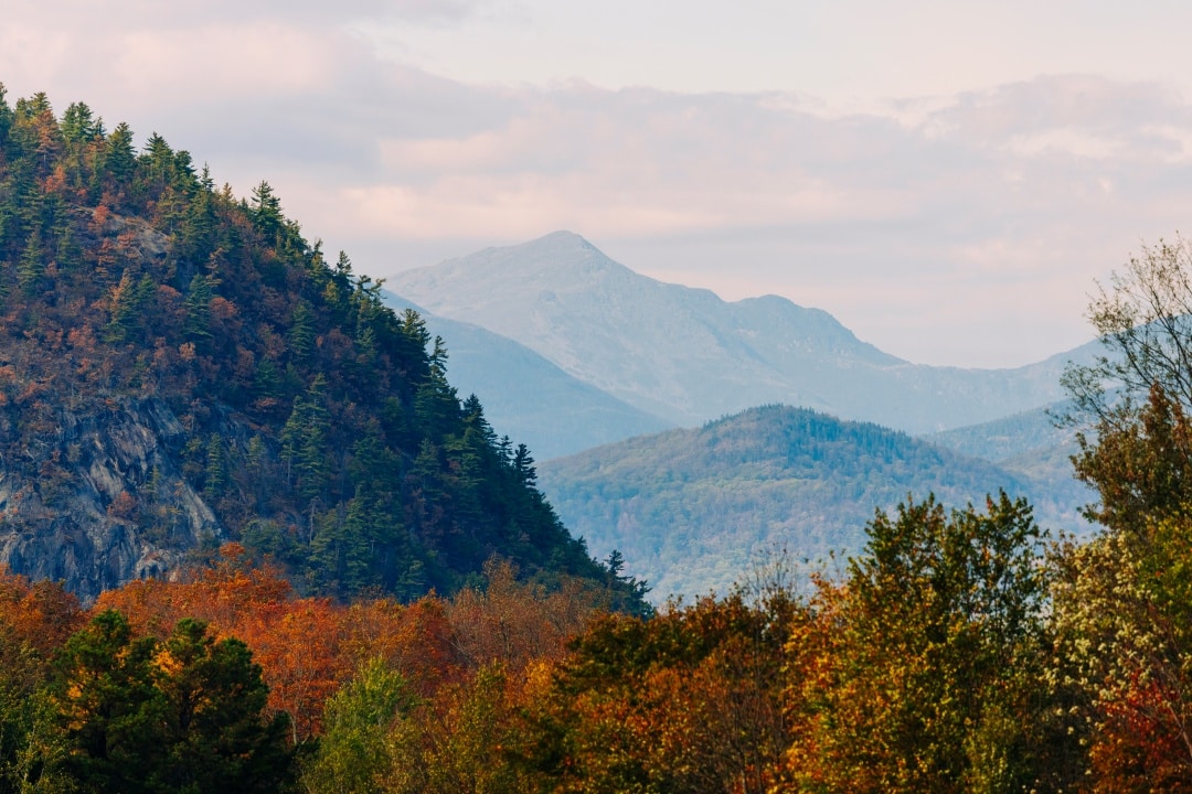 “Weekends with Yankee” Episode 1005: Foliage Rambles
