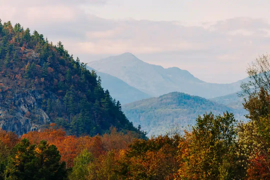 “Weekends with Yankee” Episode 1005: Foliage Rambles