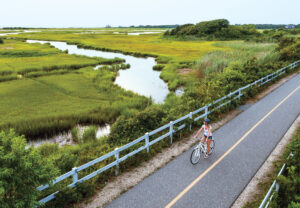 A person rides a bike on a paved path next to lush marshland and winding water under a clear sky.