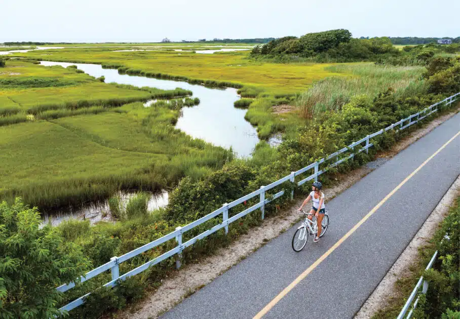A person rides a bike on a paved path next to lush marshland and winding water under a clear sky.
