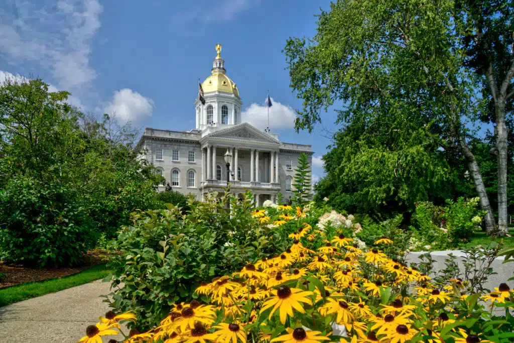 Yellow flowers in front of a domed government building surrounded by trees under a blue sky with clouds.