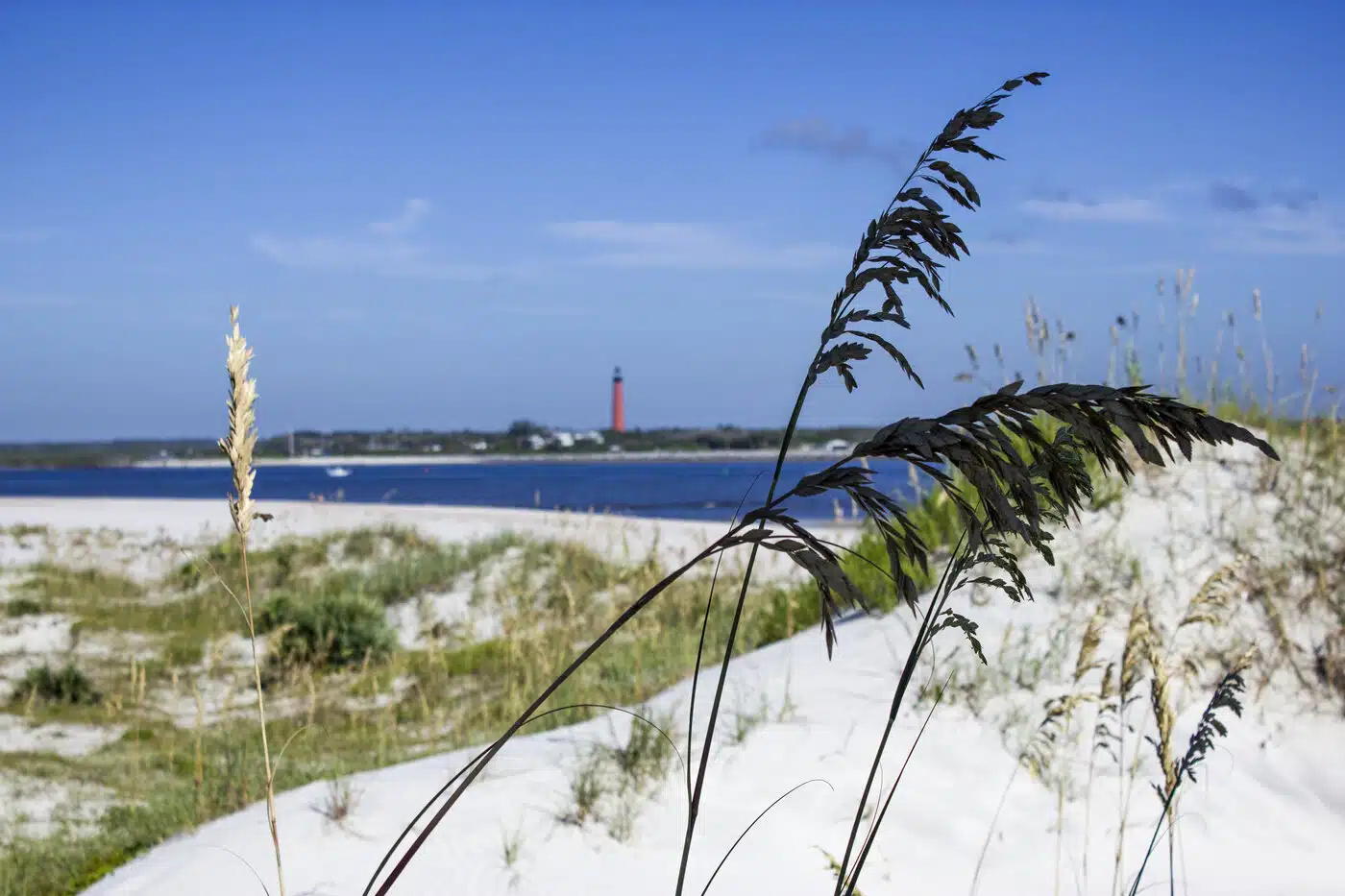 White sand dunes with a distant lighthouse in New Smyrna Beach, Florida.