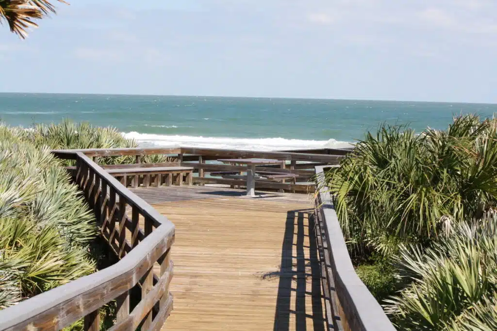 Wooden boardwalk leads to Canaveral National Seashore, surrounded by green shrubs and palm plants.