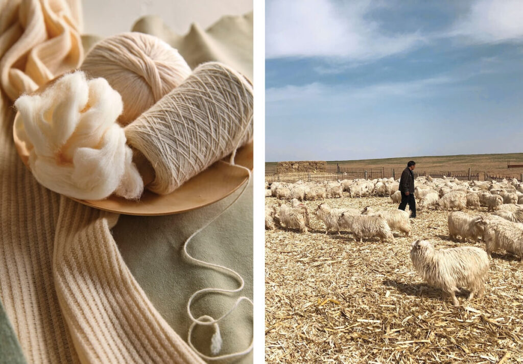 Left: Cream-colored yarn and wool on fabric; right: Person walking among a herd of goats in a field.
