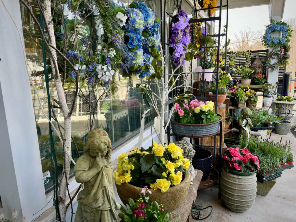 Lavender floral and gift shop in Groton, Massachusetts. Colorful flowers and potted plants arranged on a patio with a cherub statue in the foreground.