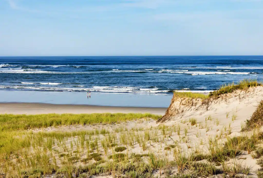 Sandy dunes with grass overlooking a beach and ocean waves, with two people walking near the shoreline.