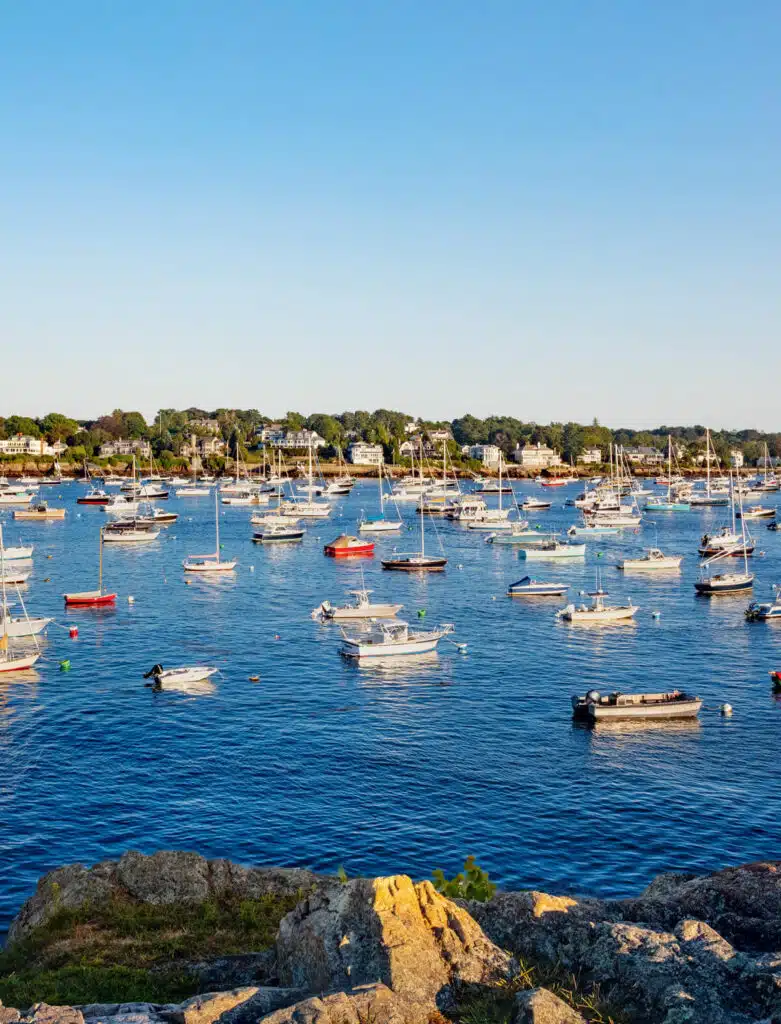 Dozens of boats float on a calm blue harbor with houses and trees in the background, under a clear sky.