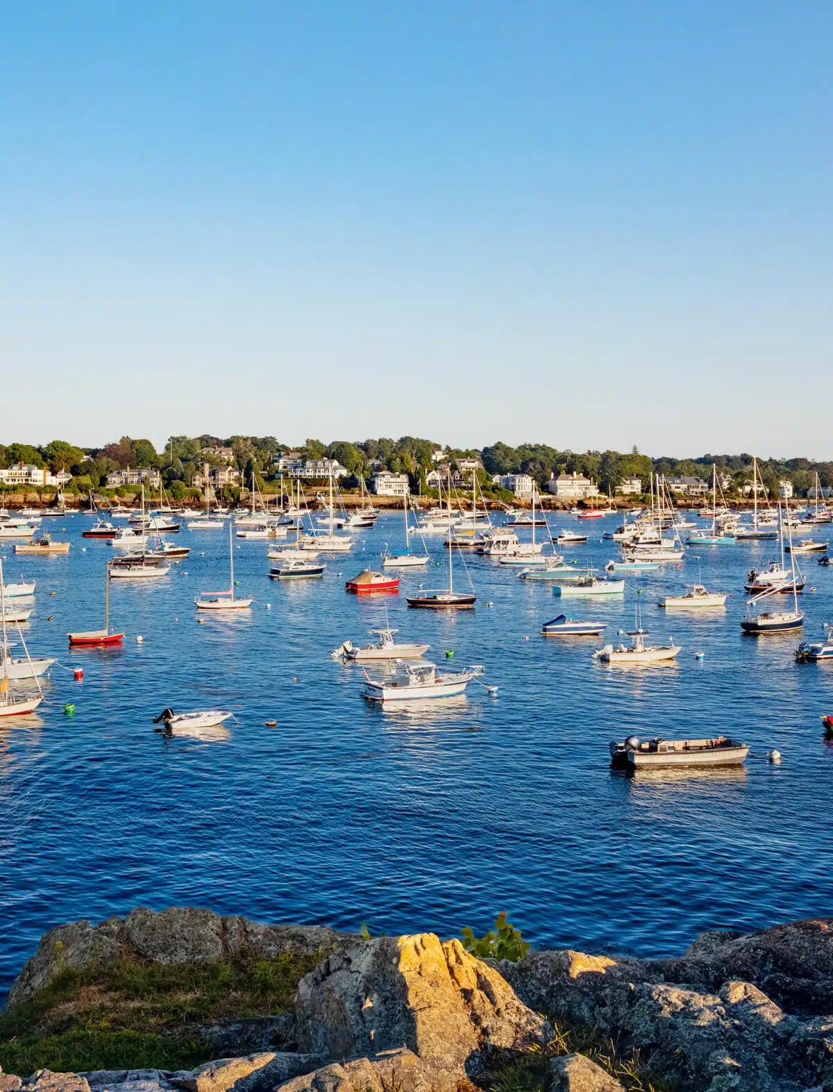 Dozens of boats float on a calm blue harbor with houses and trees in the background, under a clear sky.